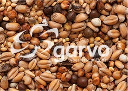 Garvo - Tortelduivenvoer (5426) 1 kg (afgewogen)