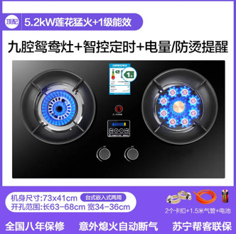 Gas Stove Double Burner Household Embedded Natural Gas Stove Desktop Liquefied Petroleum Gas Stove Raging Fire Kitchen Gas Stove