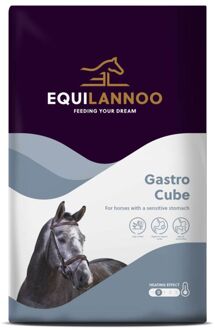 Gastro Cube - Specialiteit - 20 kg - Zak