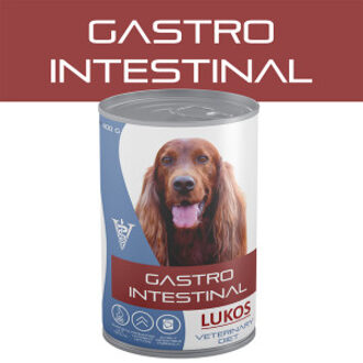 Gastrointestinal natvoer hond 12 x 400 g