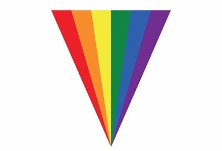 Gay pride regenboog slinger vlaggenlijn 5 meter Multi