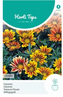 Gazania Bloemzaad - Sunshine - Gemengd