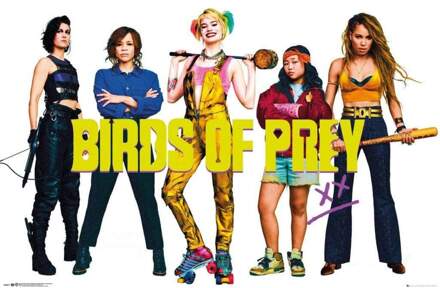 Gbeye Birds Of Prey Group Poster 91,5x61cm Multikleur
