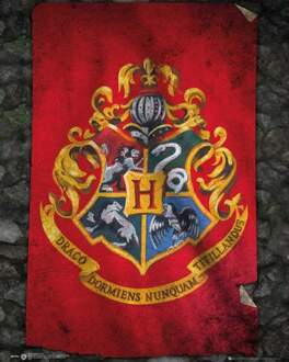 Gbeye Harry Potter Hogwarts Flag Poster 40x50cm