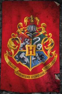 Gbeye Harry Potter Hogwarts Flag Poster 61x91,5cm Multikleur