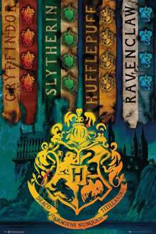 Gbeye Harry Potter House Flags Poster 61x91,5cm Multikleur
