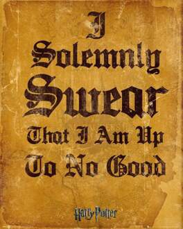 Gbeye Harry Potter I Solemnly Swear Poster 40x50cm