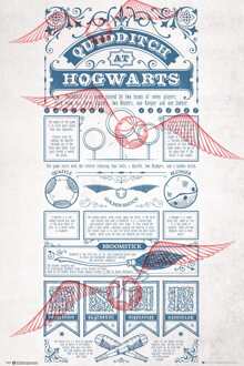 Gbeye Harry Potter Quidditch At Hogwarts Poster 61x91,5cm Multikleur