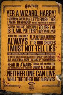 Gbeye Harry Potter Quotes Poster 61x91,5cm Multikleur