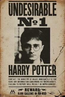 Gbeye Harry Potter Undesirable No 1 Poster 61x91,5cm Multikleur