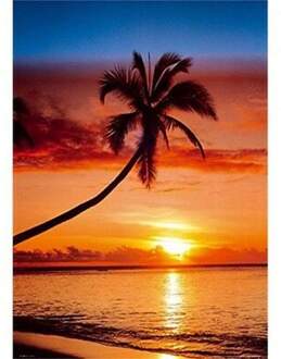 Gbeye Sunset And Palm Tree Poster 61x91,5cm