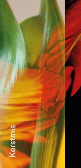 Gebedskaart Kerstmis 2026 PAKKET 25 ex -  Katie Velghe (ISBN: 9789085288534)