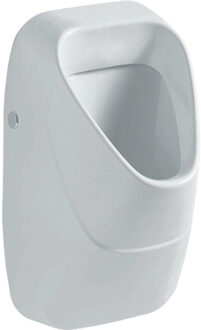 Geberit 300 urinals urinoir achterinlaat met Keratect, wit