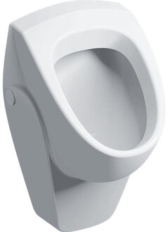 Geberit 300 urinals urinoir achterinlaat, wit