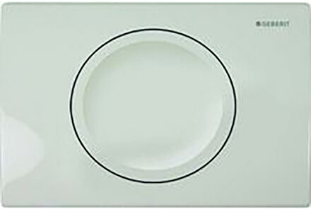 Geberit Delta-15 enkele Drukplaat - Wit