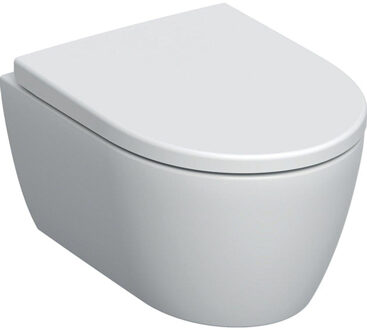 Geberit Icon Wandclosetpack - compact - 49cm - rimfree - softclose - quickrelease - wit 502.381.00.1 Wit glans