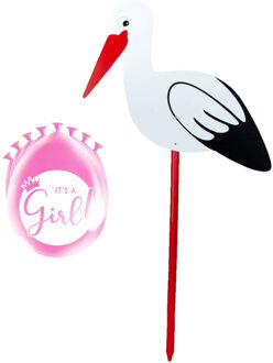 Geboorte versiering meisje - ooievaar geboorte bord - 100 cm hoog - 8x roze ballonnen