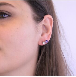 Geboortesteen februari oorbellen - Oostenrijks kristal Violet - One Size