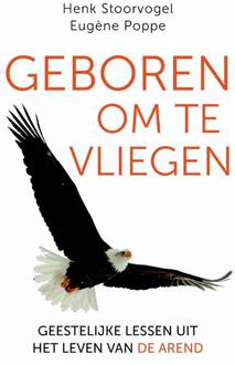 Geboren om te vliegen - Boek Henk Stoorvogel (9029725419)