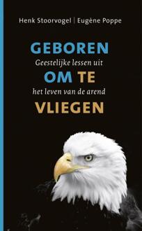 Geboren om te vliegen - eBook Henk Stoorvogel (9029796065)