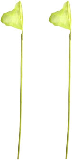 Gebro Visnet/schepnet - 2x - bamboe hout - geel - 80 cm