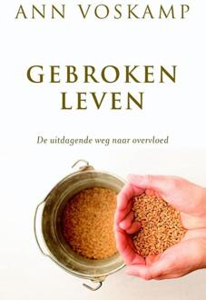 Gebroken leven - Boek Ann Voskamp (9051945442)
