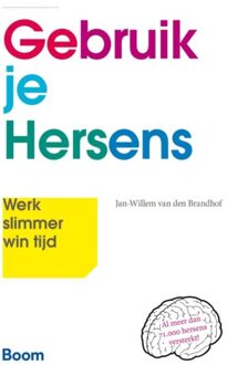 Gebruik je hersens - Boek Jan-Willem van den Brandhof (9058754987)
