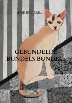 Gebundelde bundels bundel.. -  Arie Broere (ISBN: 9789464923810)