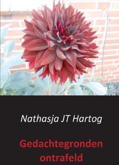 Gedachtegronden ontrafeld - Boek Nathasja JT Hartog (9461937318)