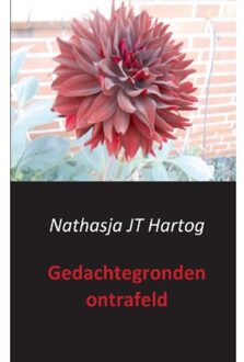 Gedachtegronden ontrafeld - Boek Nathasja JT Hartog (9461937318)