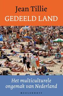 Gedeeld land. Het multiculturele ongemak van Nederland - Boek Jean Tillie (9029081325)