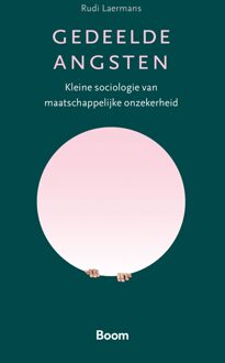 Gedeelde angsten - Rudi Laermans - ebook