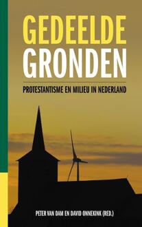 Gedeelde gronden -  David Onnekink, Peter van Dam (ISBN: 9789043544696)