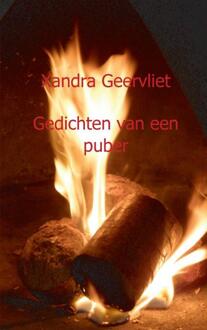 Gedichten van een puber - Boek Xandra Geervliet (9461935625)