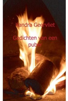 Gedichten van een puber - Boek Xandra Geervliet (9461935625)