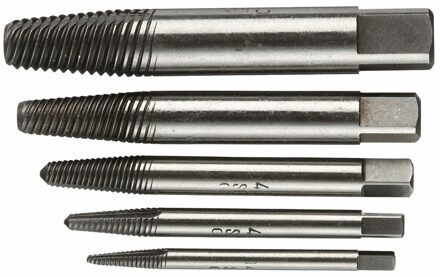 Gedore 2659336 Schroefuitdraaierset