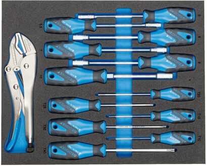 Gedore Schroevendraaierset | In 2/4 CT-module - 2957469