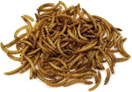 Gedroogde Meelwormen 5kg