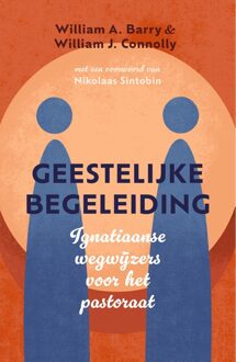 Geestelijke begeleiding - William A. Barry, William J. Connolly - ebook