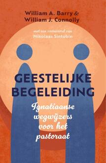 Geestelijke begeleiding -  William A. Barry, William J. Connolly (ISBN: 9789043542968)