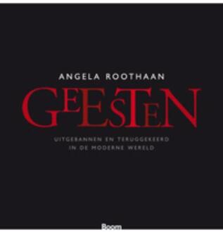 Geesten - Boek Angela Roothaan (9461054122)