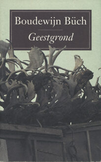 Geestgrond - eBook Boudewijn Büch (9029580917)