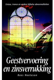 Geestvervoering en zinsverrukking - Boek Kees Neeteson (9075226063)