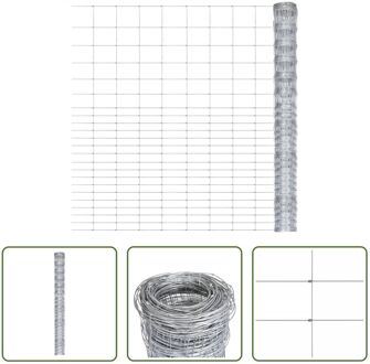 Gegalvaniseerd Stalen Tuinhek - 50 x 1.6 m - Multifunctioneel Zilverkleurig