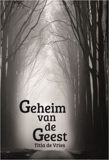 Geheim Van De Geest - (ISBN:9789492551696)