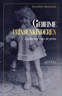 Geheime prinsenkinderen - Boek Henriette Hemmink (9463383573)