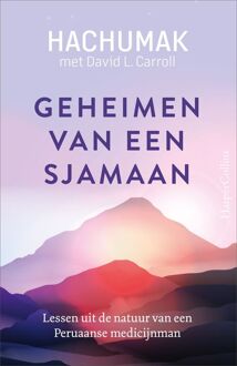 Geheimen van een sjamaan - Jorge Hachumak, David L. Carroll - ebook