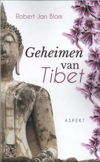 Geheimen van Tibet - Boek Robert Jan Blom (9463383131)