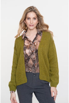 Geisha cardigan basic 54606-70 570 moss Groen