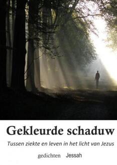 Gekleurde schaduw - Boek Jessah Groenink (9463675582)